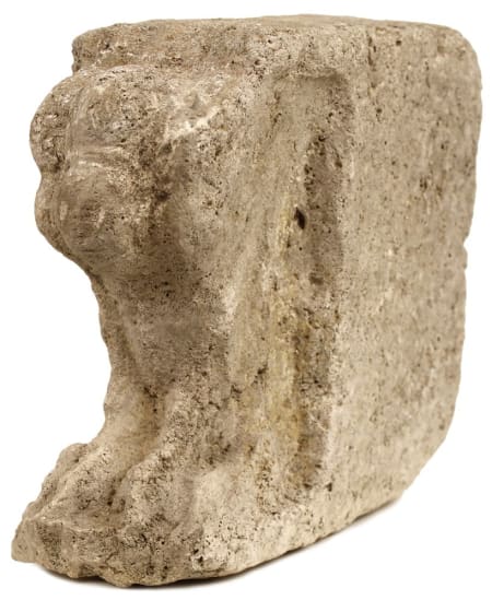 Scuola Toscana — Leone marino